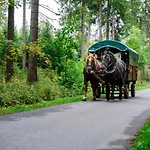 Hotel Goldhuebel Neuhausen (Saxony)