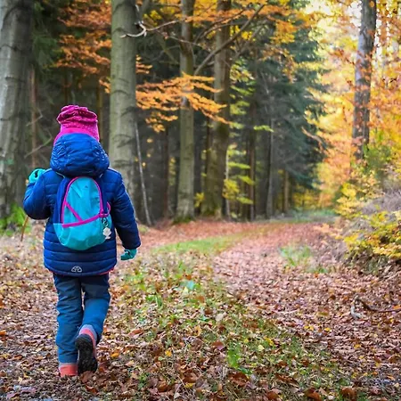 Goldhuebel فندق 3*