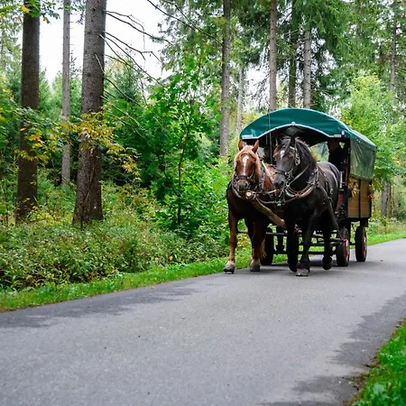 Hotel Goldhuebel Neuhausen (Saxony)