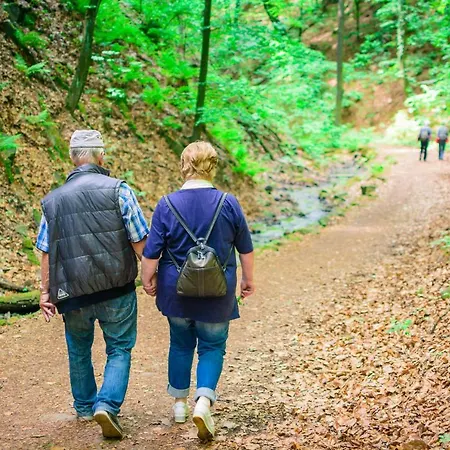 Goldhuebel فندق 3*