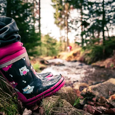 Goldhuebel فندق نيوهاوسين