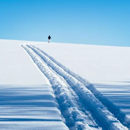 فندق Goldhuebel 3*