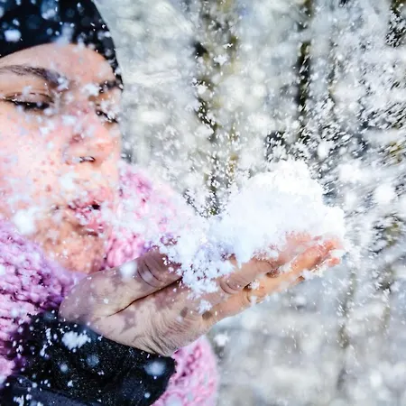 فندق Goldhuebel نيوهاوسين