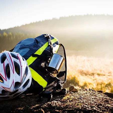 فندق Goldhuebel نيوهاوسين