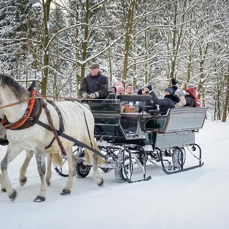 Goldhuebel فندق نيوهاوسين