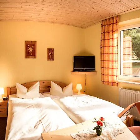 فندق Goldhuebel 3*