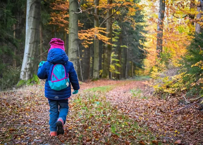 Goldhuebel Отель 3*