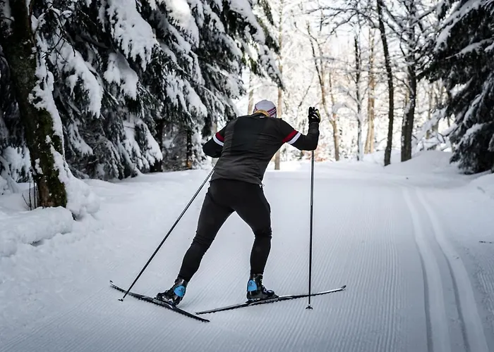 Отель Goldhuebel 3*