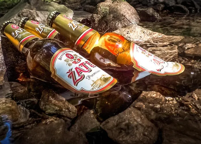 Goldhuebel Отель 3*