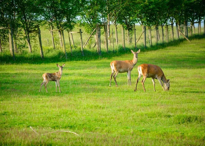 Goldhuebel Нойхаузен