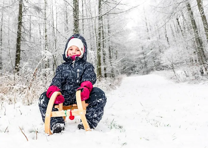 Goldhuebel Отель