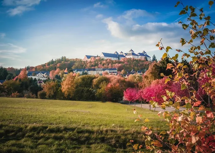 Отель Goldhuebel