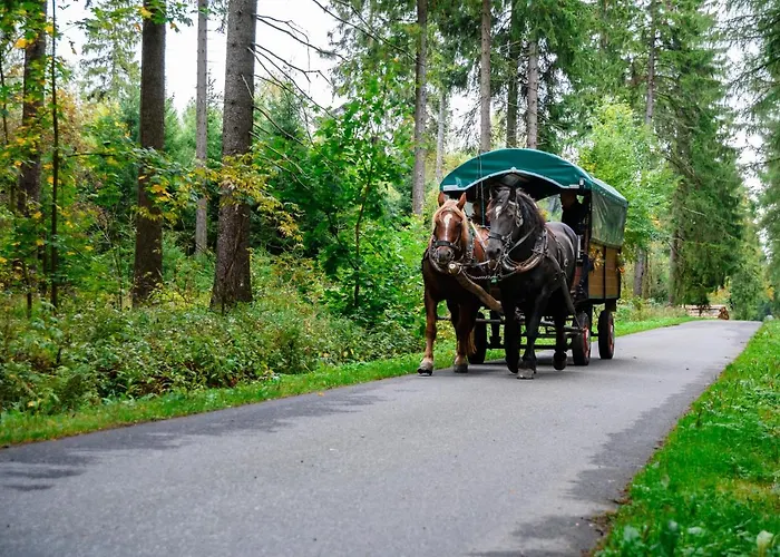 Отель Goldhuebel Нойхаузен