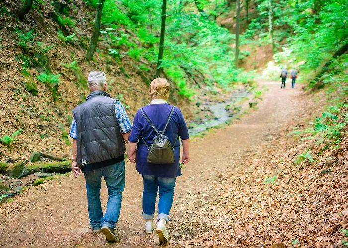 Goldhuebel Отель 3*