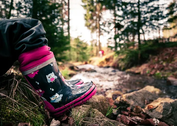 Goldhuebel Отель Нойхаузен