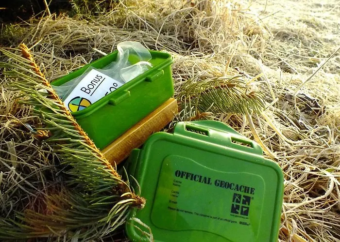 Goldhuebel Отель 3*