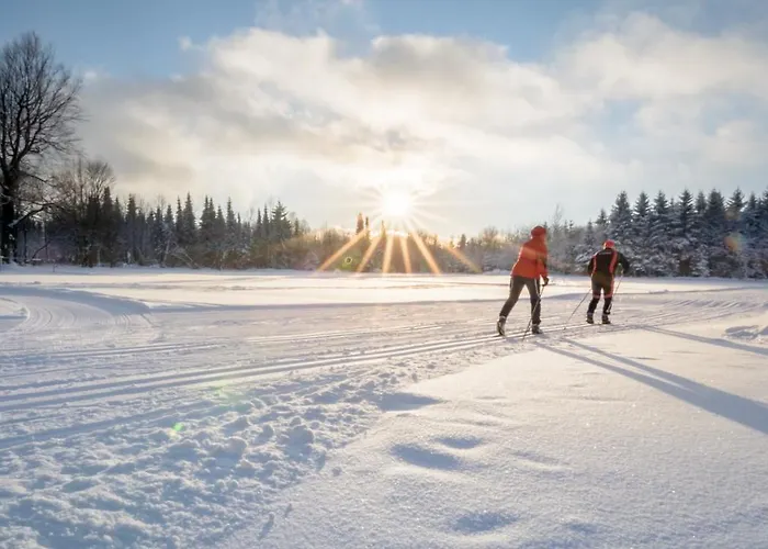 Goldhuebel Отель 3*