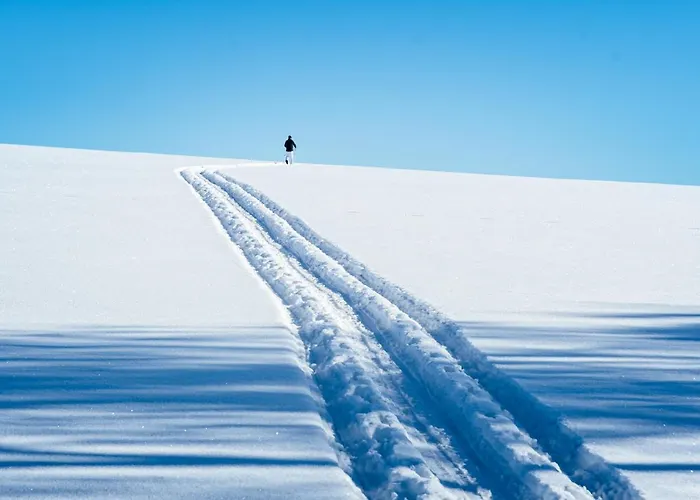 Отель Goldhuebel 3*