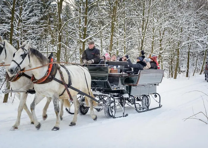 Goldhuebel Отель Нойхаузен