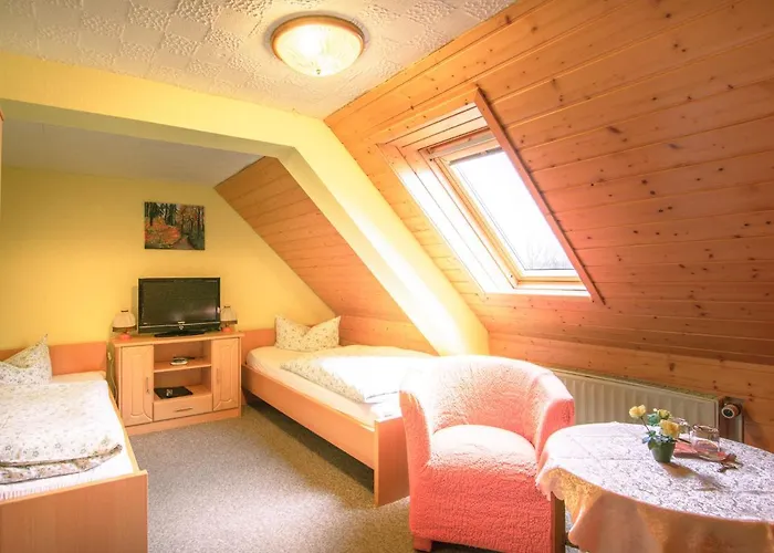 Goldhuebel Отель 3*